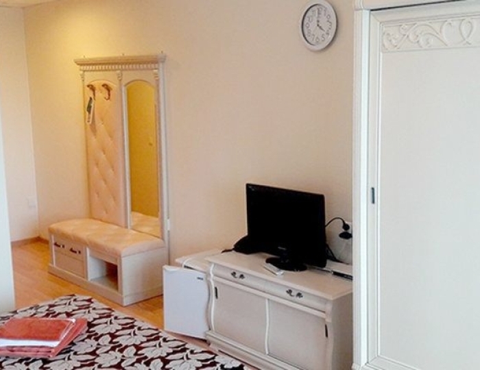 Люкс 1-местный - Санаторий «Спутник» Беларусь