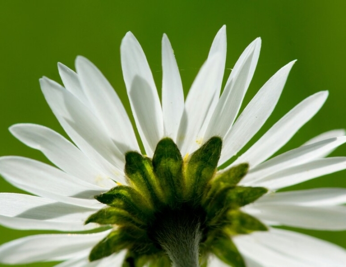 Wellness - Лечебные программы - Санаторий «Спутник» Беларусь