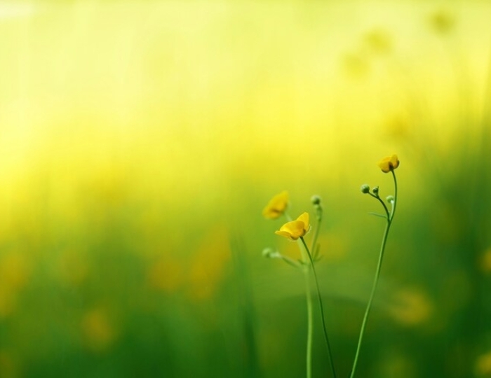 Лечение артериальной гипертензии - Санаторий «Спутник» Беларусь