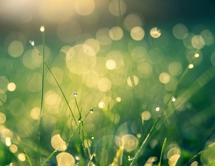 Лечение заболеваний сосудов нижних конечностей - Лечебные программы - Санаторий «Спутник» Беларусь