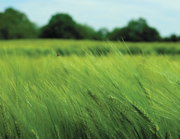 Оздоровительная путевка - Лечебные программы - Санаторий «Спутник» Беларусь